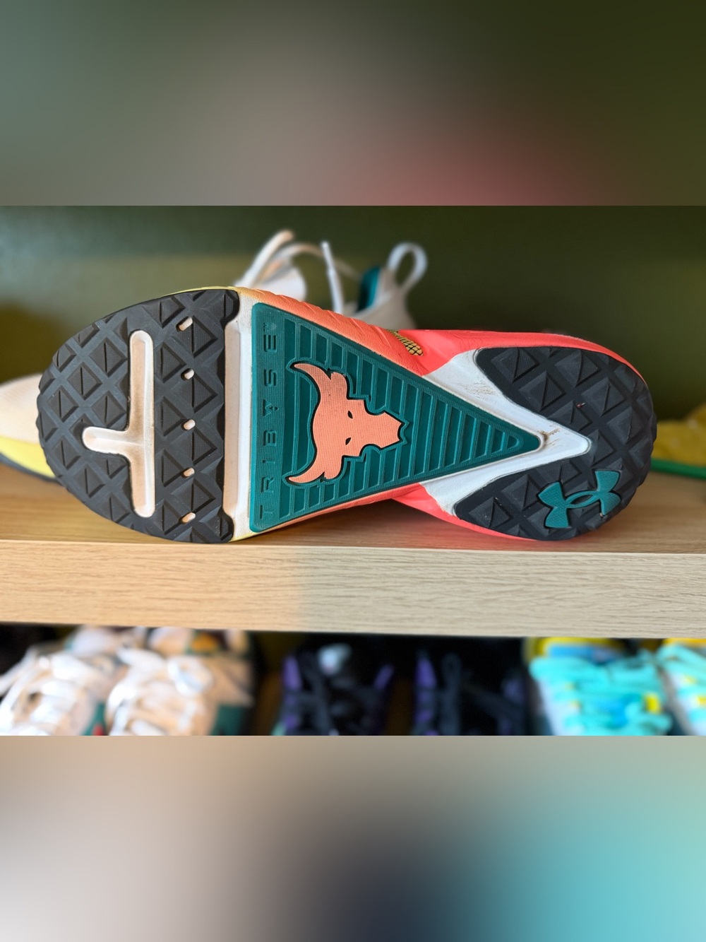 Under Armour Project Rock View 5
